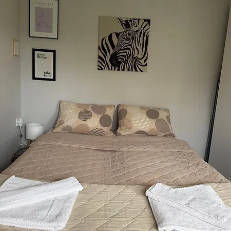 Sasha Duplex דירה סקופיה